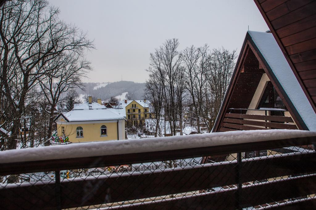 Zacisza Tetmajera Apartment Zakopane Bagian luar foto